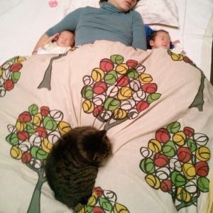 36f4ceebe5960c5c7356684555932c34-1669774453.jpg